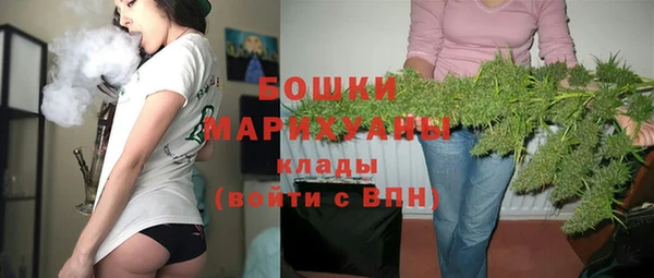 индика Киренск