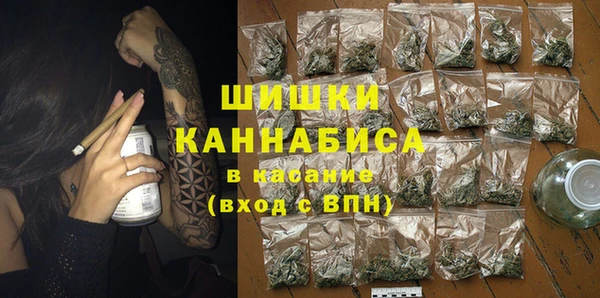 шишки Козельск