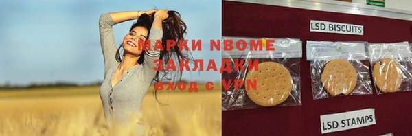 индика Киренск