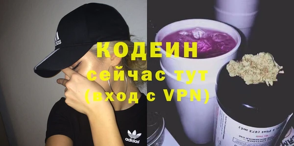 индика Киренск