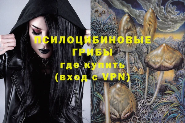 индика Киренск