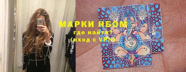 индика Киренск