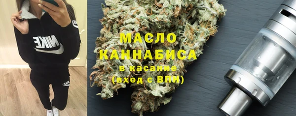 индика Киренск