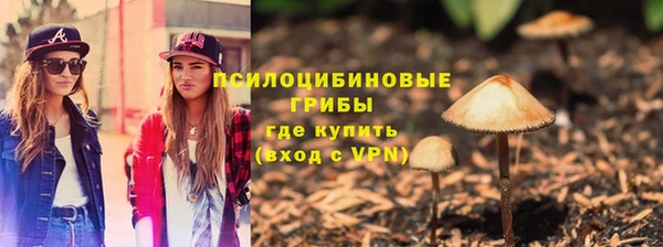 индика Киренск