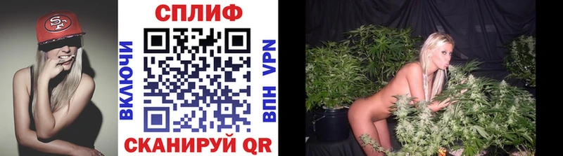Конопля VHQ  Купить где  Мамадыш 